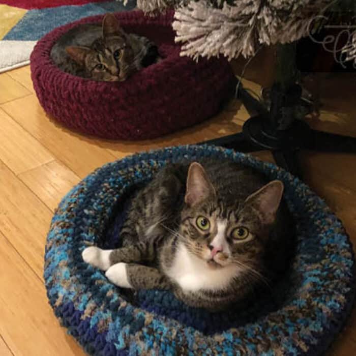 Combo 3-in-1 Cat Pod Crochet Pattern