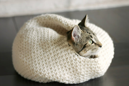 Combo 3-in-1 Cat Pod Crochet Pattern