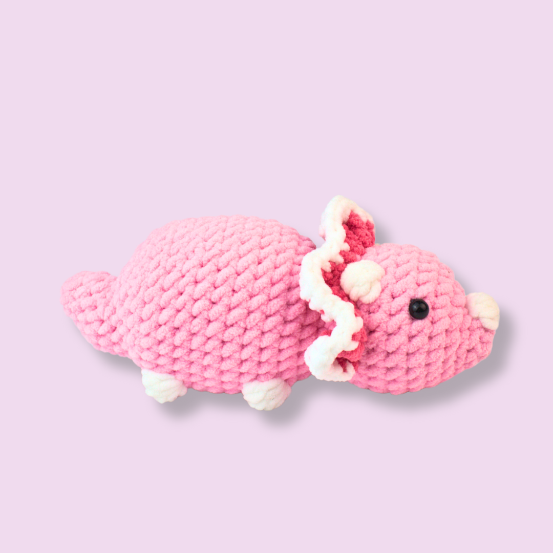 Dino's Secret Adventure Crochet Pattern