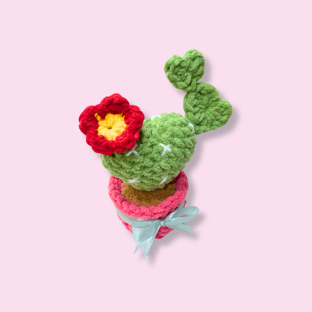 šµš HeartBloom Cactus Crochet Pattern