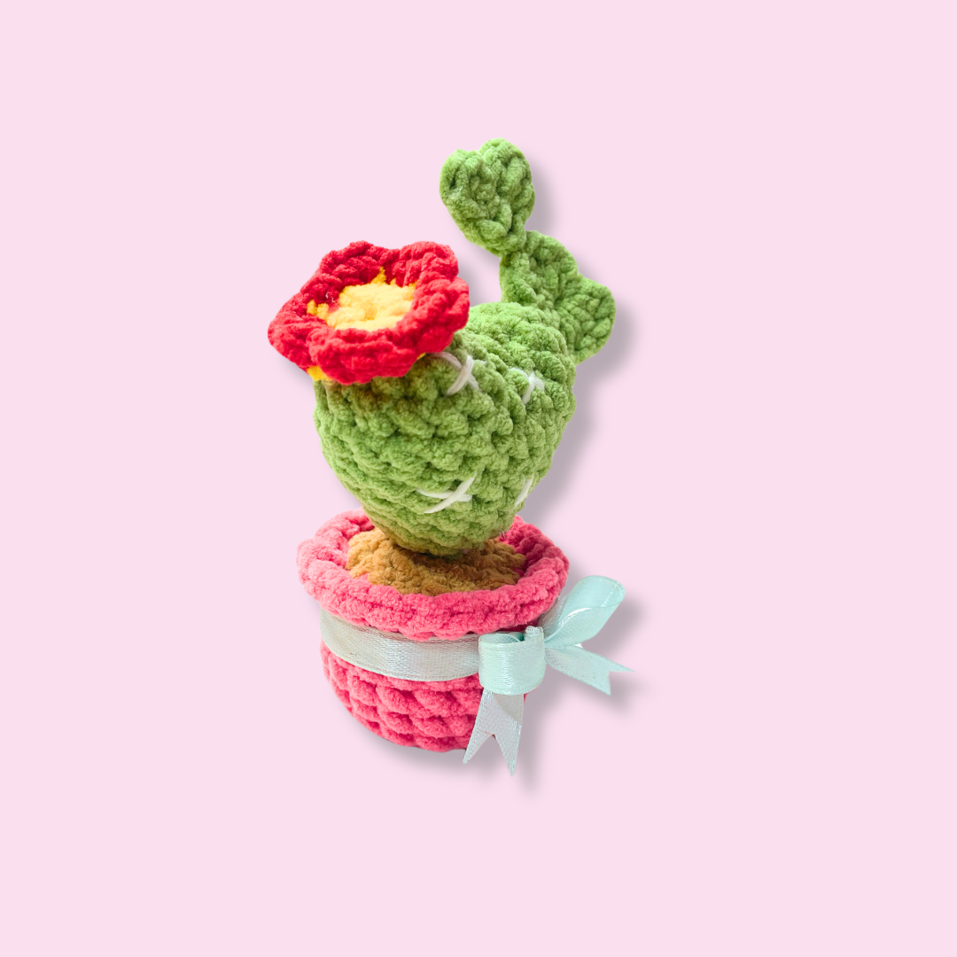 šµš HeartBloom Cactus Crochet Pattern