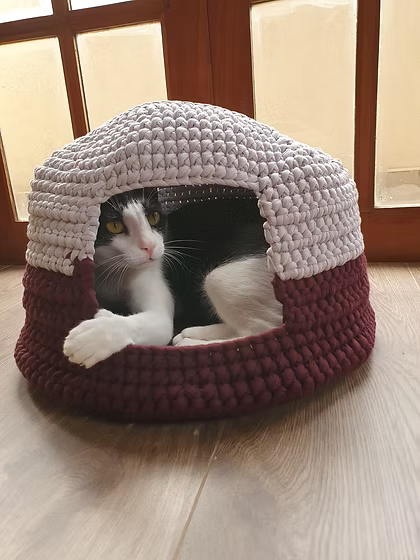 Combo 3-in-1 Cat Pod Crochet Pattern