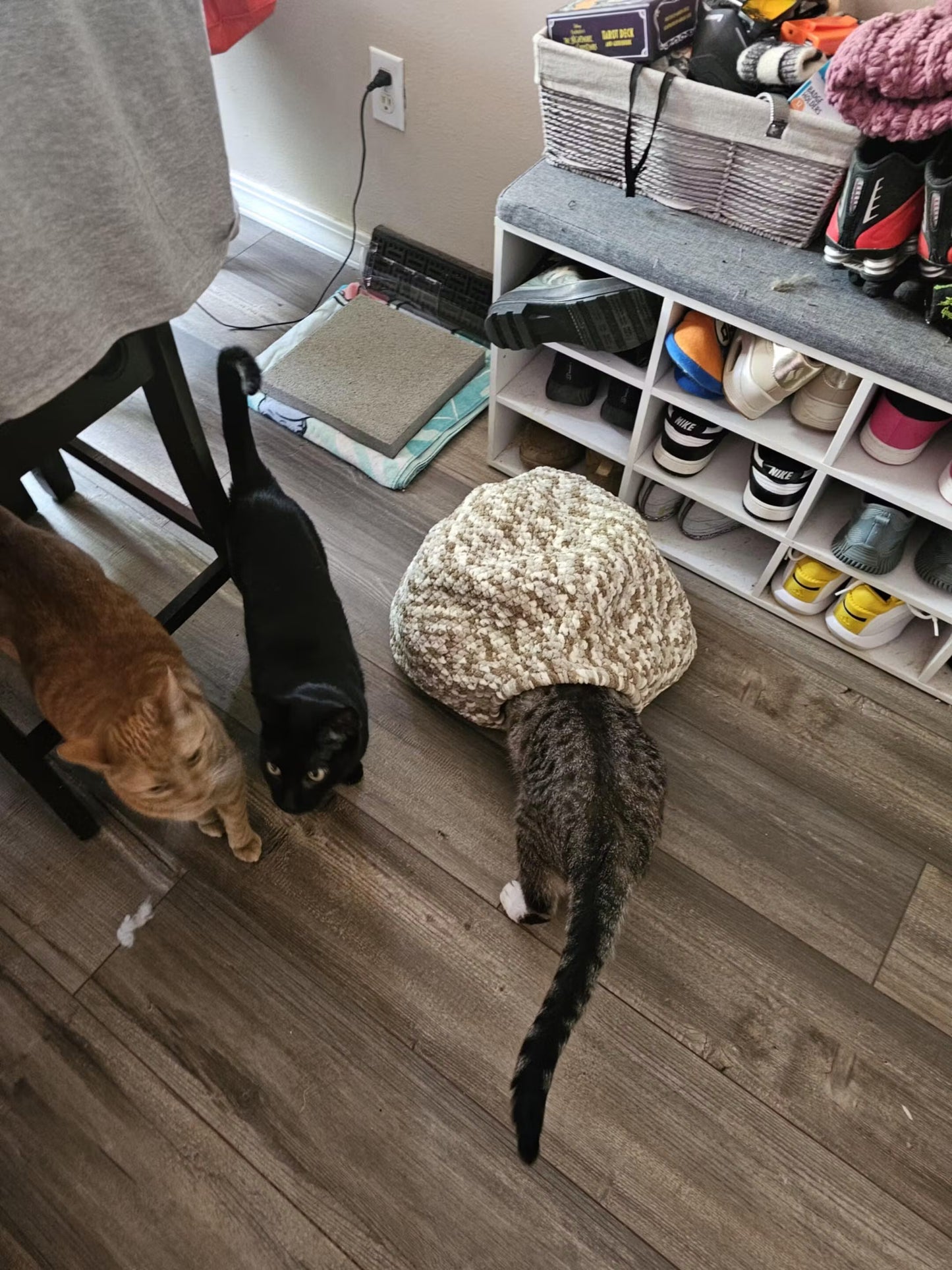 Snuggle Pod Crochet Pattern