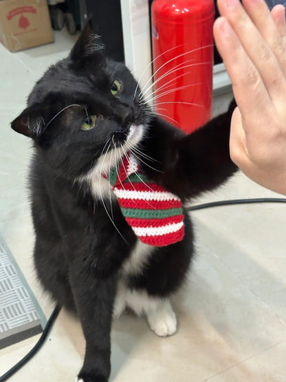 Handmade Holiday Pet Collection