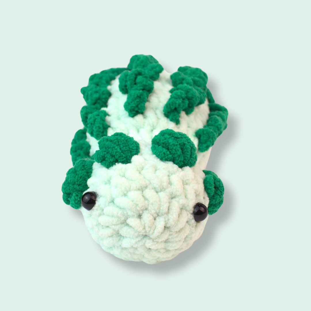 Dino's Secret Adventure Crochet Pattern