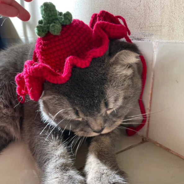 Tomato Cat Beanie Crochet Pattern